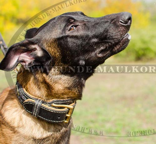 Hundehalsband Leder geflochten mit Nappa innen für Schäferhund