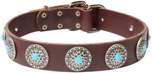 Leather Collar with Blue Stones 