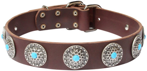 Hundehalsband aus Leder mit blauen Steinen 2020 Stil!