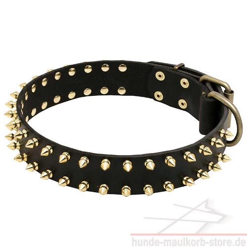 Oiled Leather Collar for Dogs with Gold Spike Design