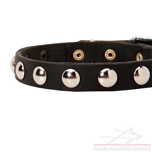 dog collar leather c112