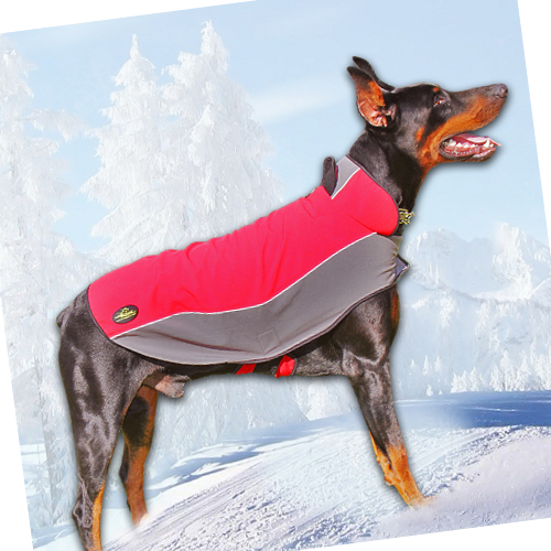 Doberman dog coat, dog winter coat, raincoat