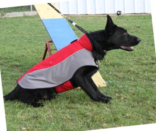 Hunde Kleidung für Schäferhunde | Hundemantel Wasserdicht ❉ - zum Schließen ins Bild klicken