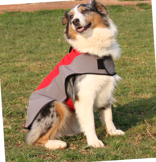 Australian Shepherd dog coat with fleece for winter