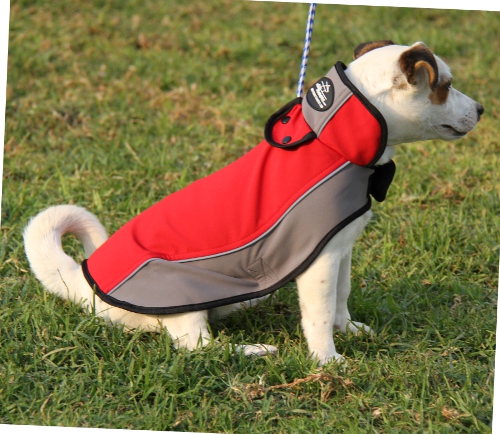 Hundemantel für Jack Russell Terrier | Moderner Überwurf ❉ - zum Schließen ins Bild klicken