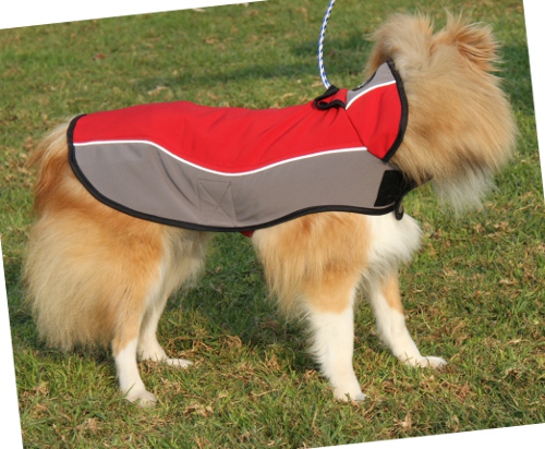 Sheltie dog coat with fleece for winter