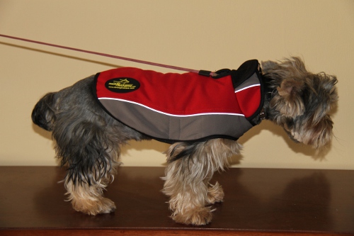 Dog Coat for Yorkshireterrier | Stylish Dog Cloak for Yorkie