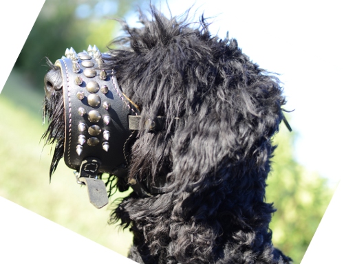 Schwarzer Terrier Leder Maulkorb für Große Hunde