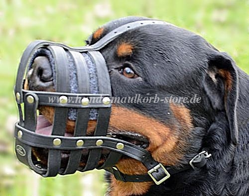 Maulkorb Leder für Rottweiler | Beißkorb Perfekte Lüftung