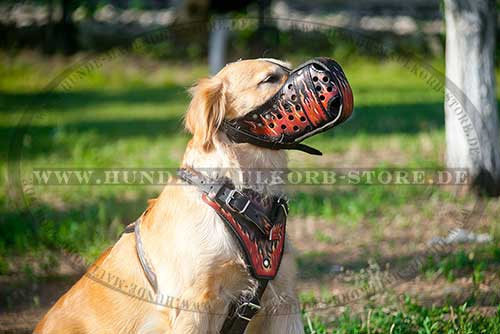 K9 Maulkorb mit Bemalung | Hundemaulkorb für Golden Retriever