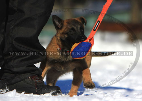 Kleines Welpenspielzeug für Malinois Welpen aus French Linen