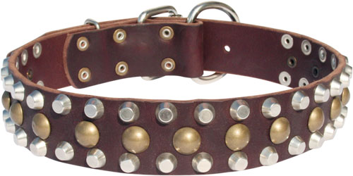 Unique leather dog collar S56