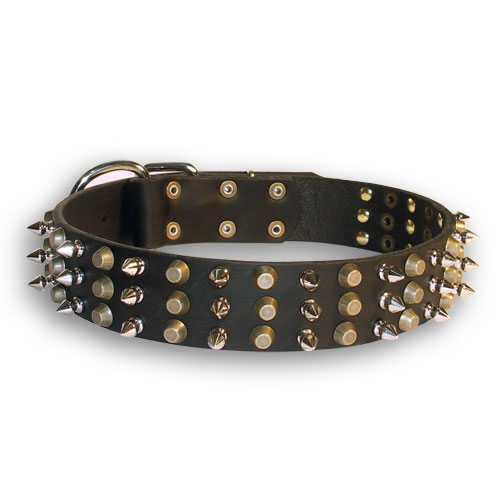 Exclusive leather dog collar with pyramids and spikes