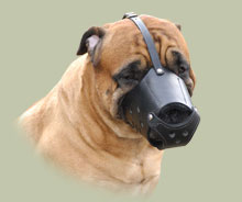 Ledergepolsterter Alltags-Hundemaulkorb, Bullmastiff