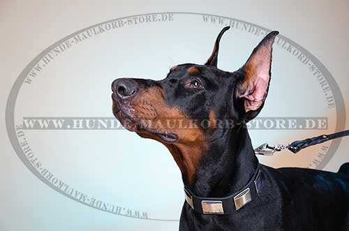 Studded Collar with Conchas, Doberman Dog Leather Collar 