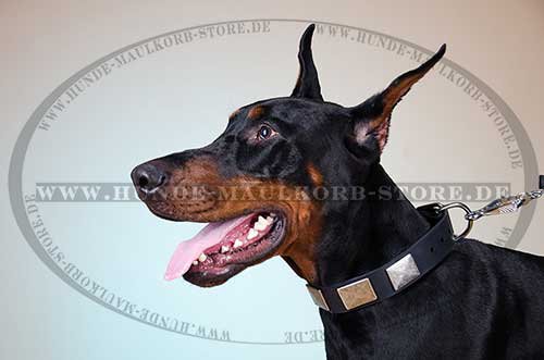 Studded Collar with Plates, Doberman Dog Collar Leather 