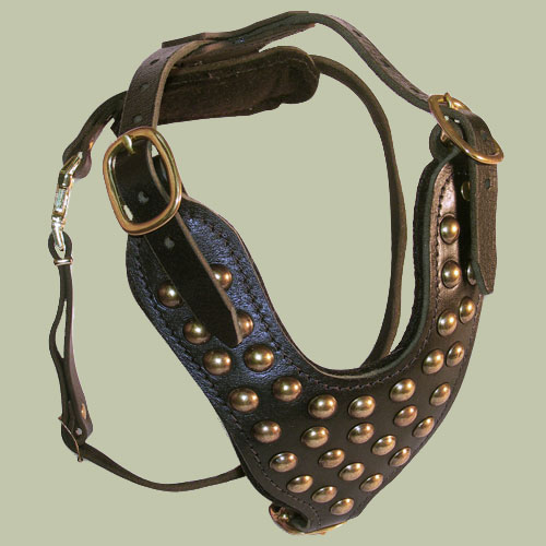 Studded Walking Dog Leather Harness, Top Quality