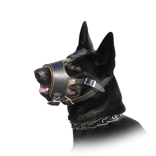 Exklusive Leder gepolsterte Hund Maulkorb für Schäferhund - zum Schließen ins Bild klicken
