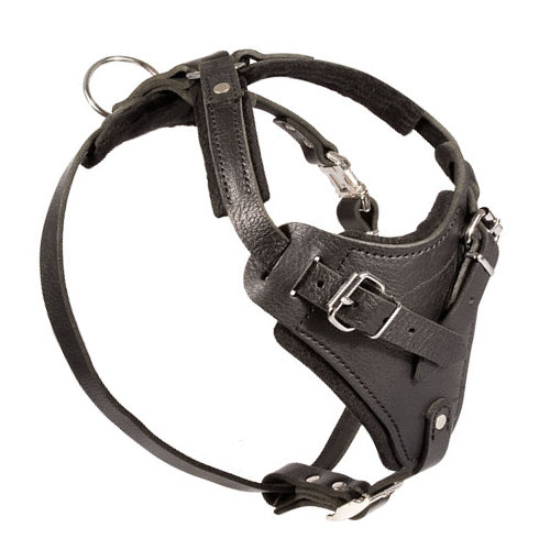 Leather Harness with Padding 