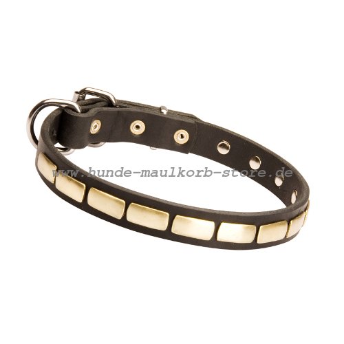 Luxus Designer Hundehalsband mit Platten