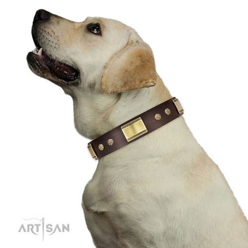Luxus Halsband für Labrador, handgenietet - zum Schließen ins Bild klicken