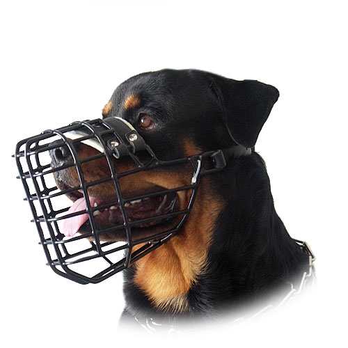 wire basket dog muzzle for Rottweiler