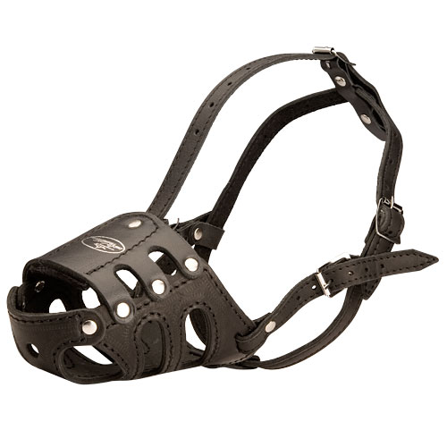 Leather padded muzzle