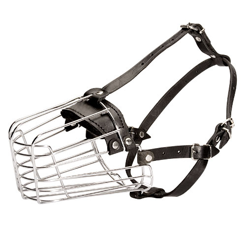 Wire dog muzzle for Cavalier King Charles Spaniel