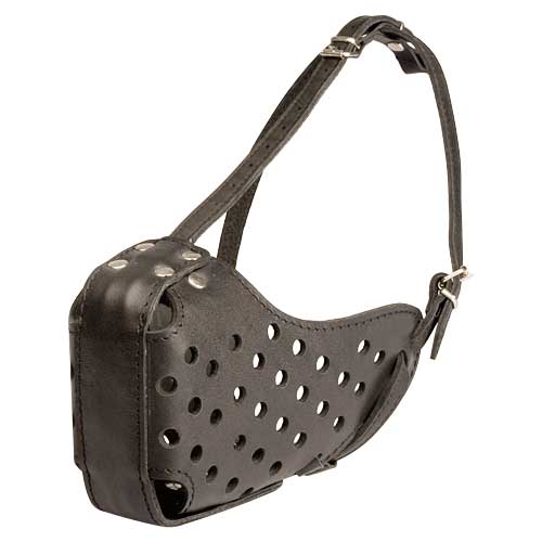 Leather dog muzzle