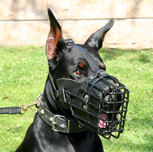 Protection Work Dog Muzzle for Doberman