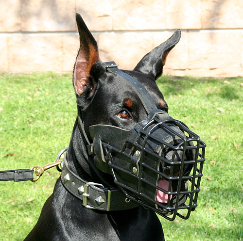 /images/large/M58-Dobermann-Maulkorb-Draht-Gummi_LRG.jpg