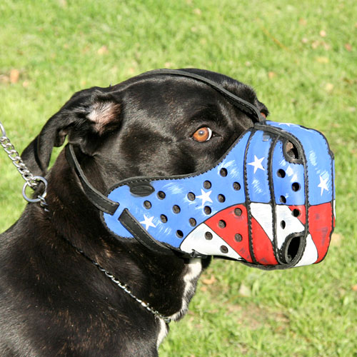 Painted muzzle American Pride for Cane Corso