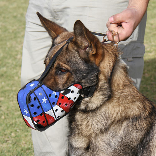 Schaeferhund Hundemaulkorb "American Pride" - zum Schließen ins Bild klicken