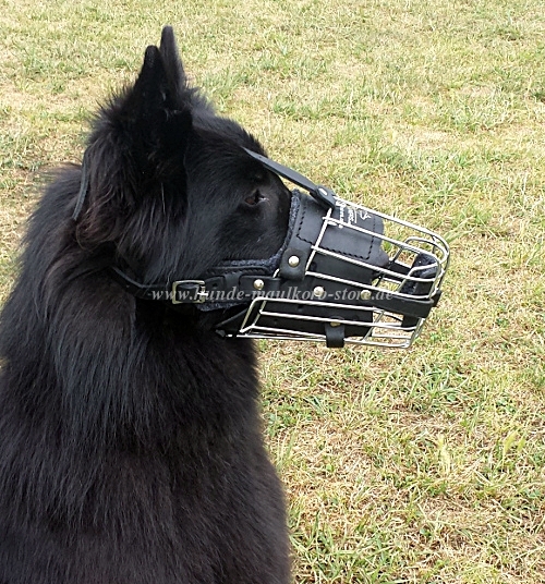 Wire Basket Muzzle for Malinois | Padded Cage Muzzle for Mali