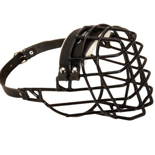 Wire Dog Muzzle for Bull Terrier, Winter Cage Muzzle 2020