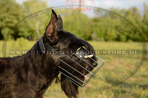 Hund Rufen - Bequemer Maulkorb Ist Sehr Wichtig! 