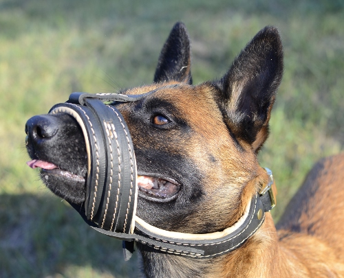 /images/large/Maulkorb-Leder-Malinois-Nappa-gepolstert_LRG.JPG