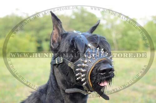 dog muzzle leather for Riesenschnauzer