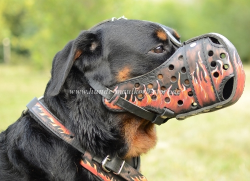 Rottweiler Maulkorb aus Leder für Polizei und Dienst - zum Schließen ins Bild klicken