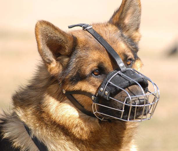 Drahtmaulkorb Deutscher Schäferhund, Bestseller Beisskorb!