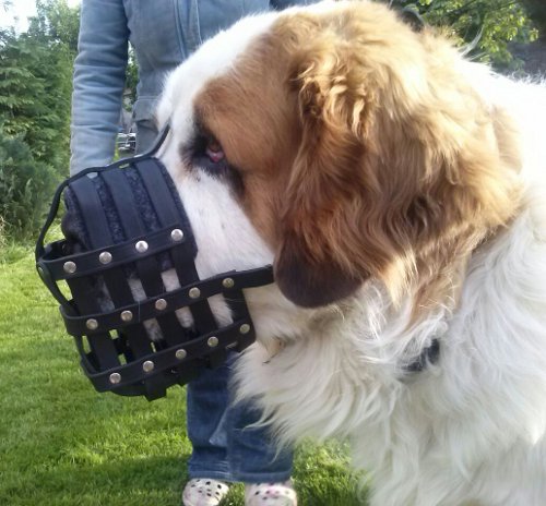 Maulkorb für Große Hunde Hundemaulkorb für St. Bernhard