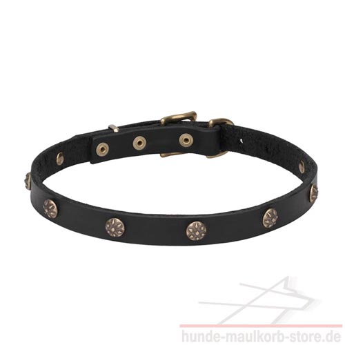 Romantisches Hundehalsband aus Leder