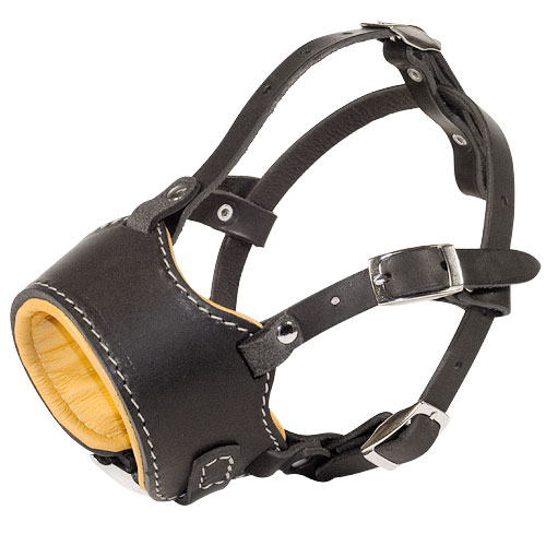 Nappa padded Leather Dog Muzzle