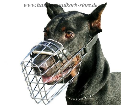Dobermann Bester Draht Maulkorb Hund Perfekt ✓ - zum Schließen ins Bild klicken
