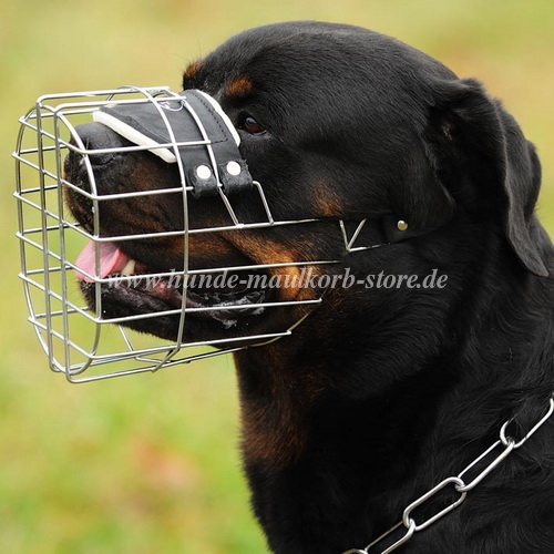 Rottweiler Bester Draht Maulkorb für Hund | Perfekter Beisskorb - zum Schließen ins Bild klicken
