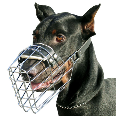 wire dog muzzle