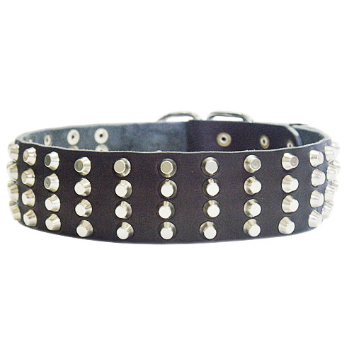 Hundehalsband London Style, Längen 45, 50, 55, 60, 65 cm, Lederhalsband