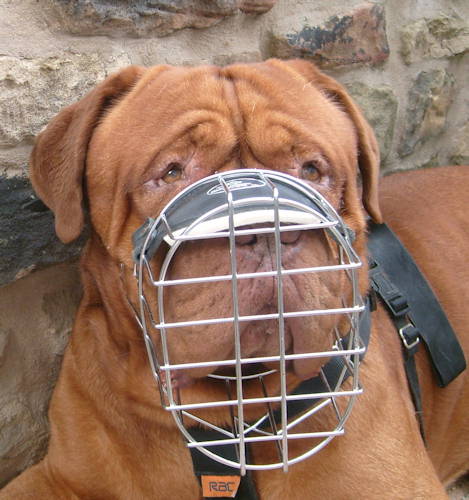 Wire Dog Muzzle