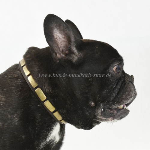 Studded Collar for Fr. Bulldog | Leather Collar with Plates