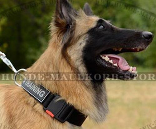 Nylon Collar with Click Buckle for Tervuren